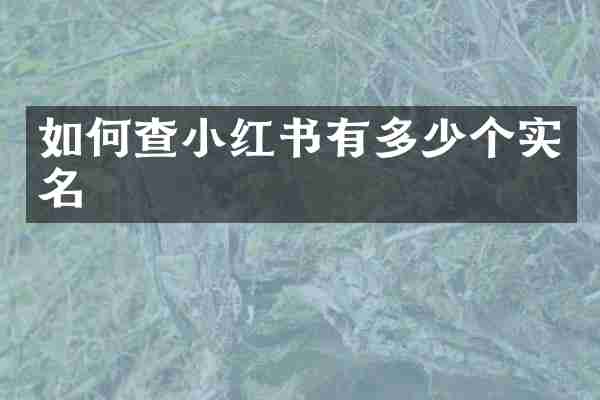 如何查小红书有多少个实名
