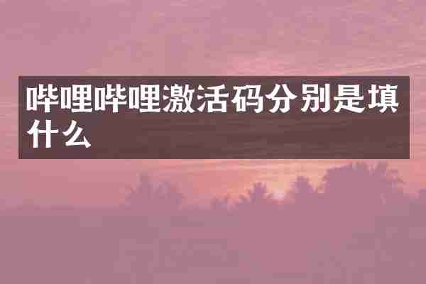 哔哩哔哩激活码分别是填什么