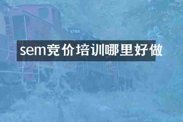 sem竞价培训哪里好做