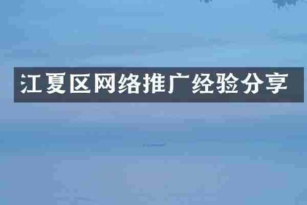 江夏区网络推广经验分享