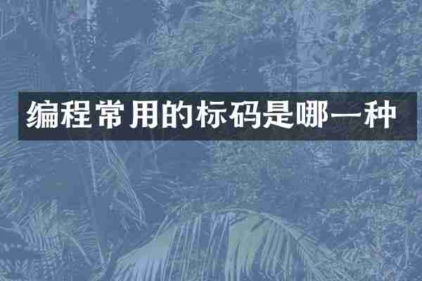 编程常用的标码是哪一种
