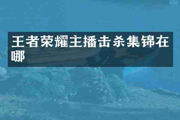 王者荣耀主播击杀集锦在哪