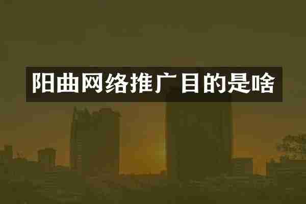 阳曲网络推广目的是啥