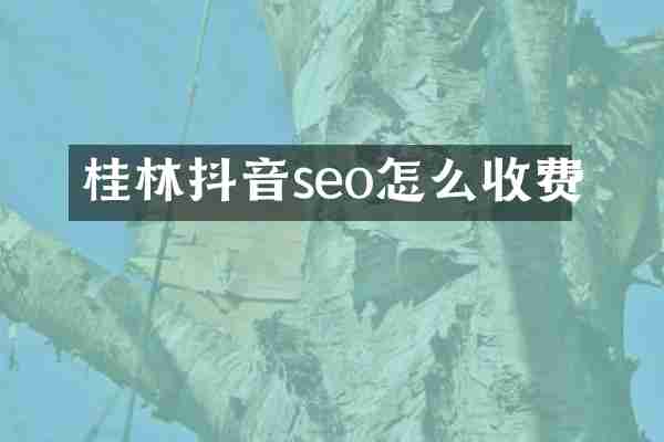 桂林抖音seo怎么收费