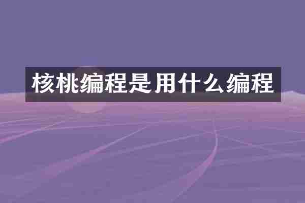 核桃编程是用什么编程