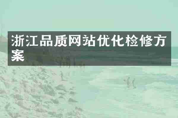 浙江品质网站优化检修方案