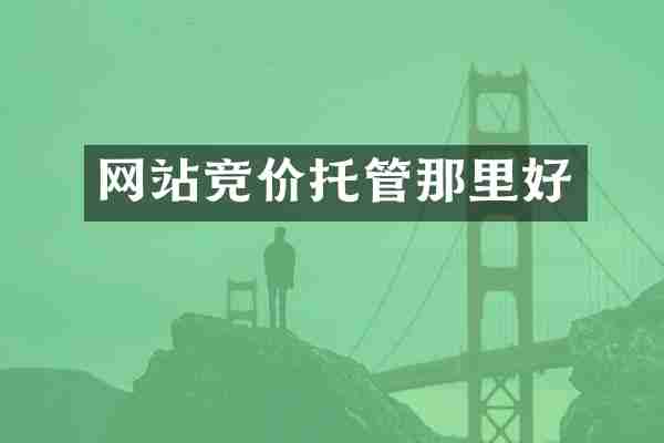 网站竞价托管那里好