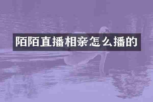 陌陌直播相亲怎么播的