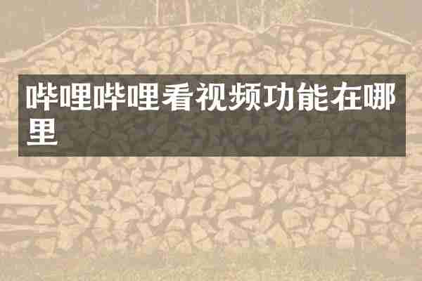 哔哩哔哩看视频功能在哪里