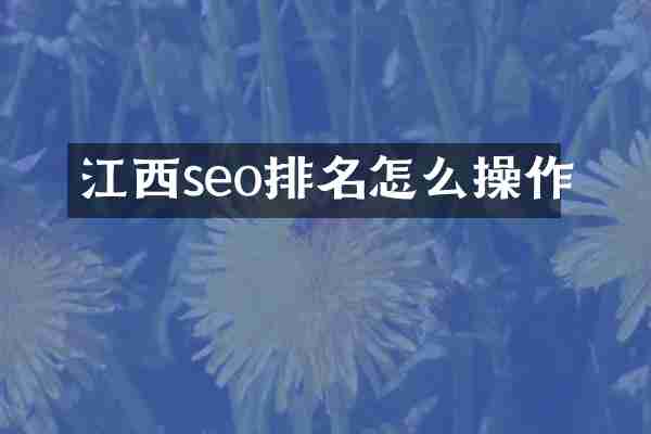 江西seo排名怎么操作