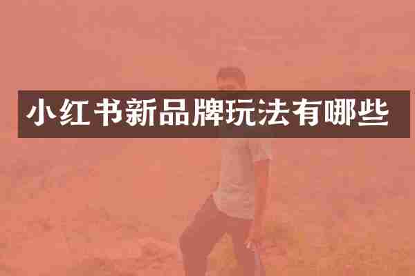 小红书新品牌玩法有哪些