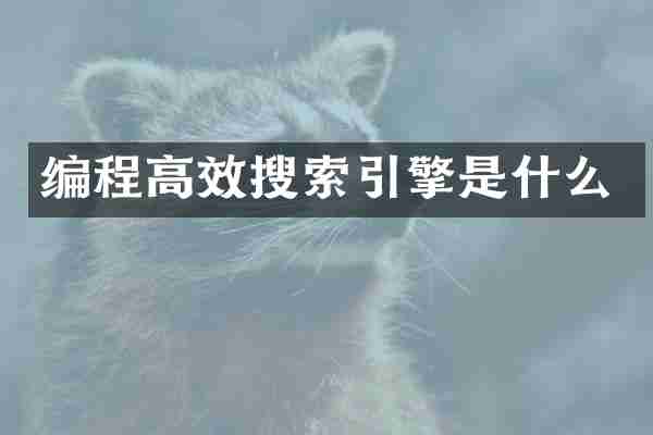 编程高效搜索引擎是什么