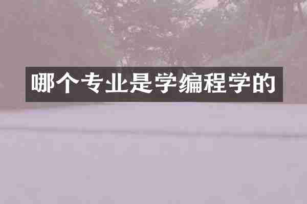哪个专业是学编程学的