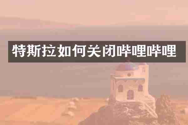 特斯拉如何关闭哔哩哔哩