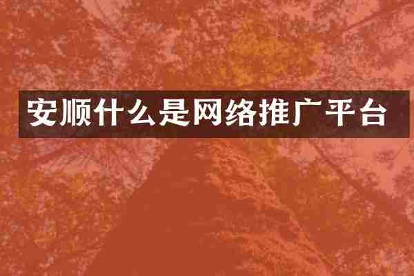 安顺什么是网络推广平台