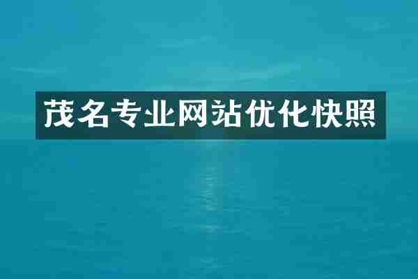 茂名专业网站优化快照