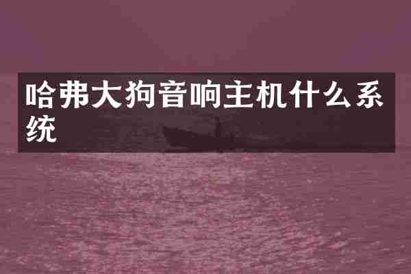 哈弗大狗音响主机什么系统