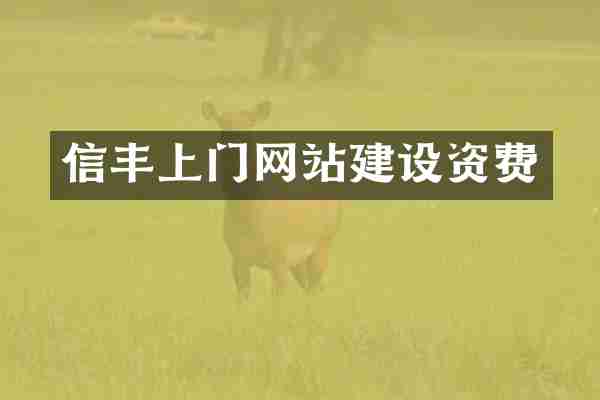 信丰上门网站建设资费