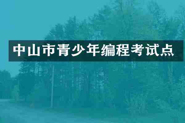 中山市青少年编程考试点