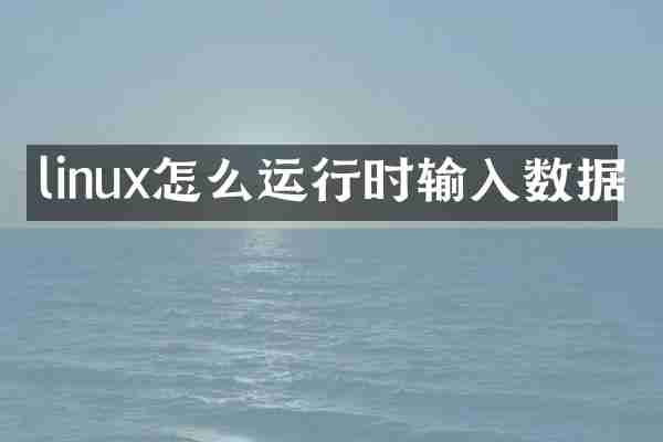 linux怎么运行时输入数据