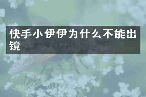 快手小伊伊为什么不能出镜