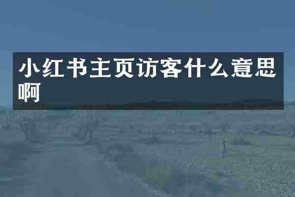 小红书主页访客什么意思啊