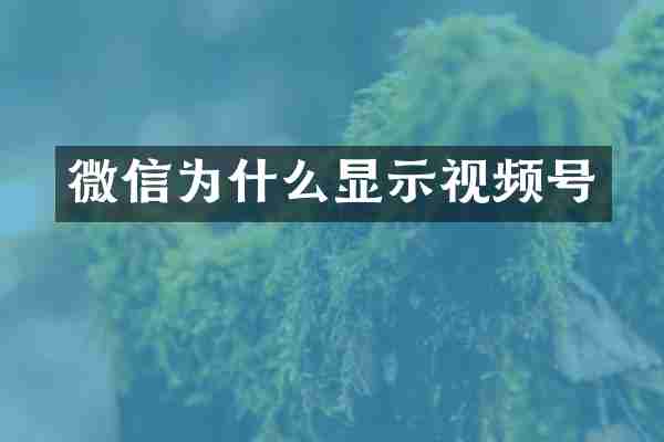 微信为什么显示视频号
