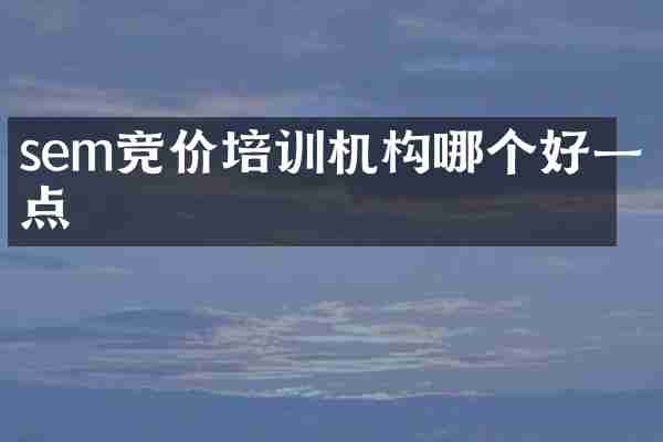 sem竞价培训机构哪个好一点