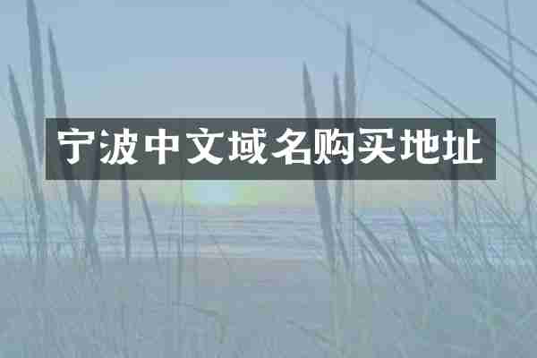 宁波中文域名购买地址