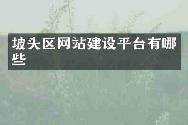坡头区网站建设平台有哪些