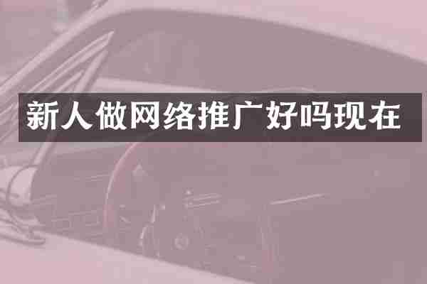 新人做网络推广好吗现在