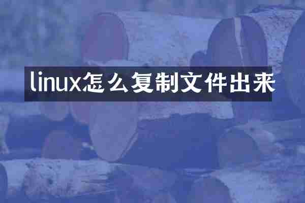 linux怎么复制文件出来