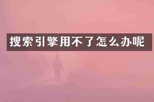 搜索引擎用不了怎么办呢