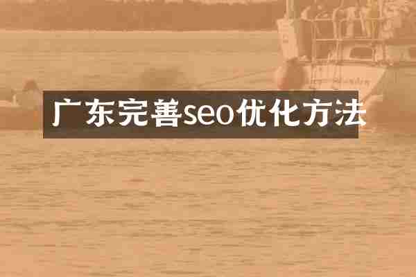 广东完善seo优化方法