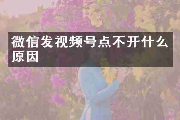 微信发视频号点不开什么原因