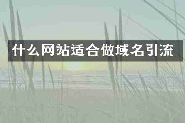 什么网站适合做域名引流