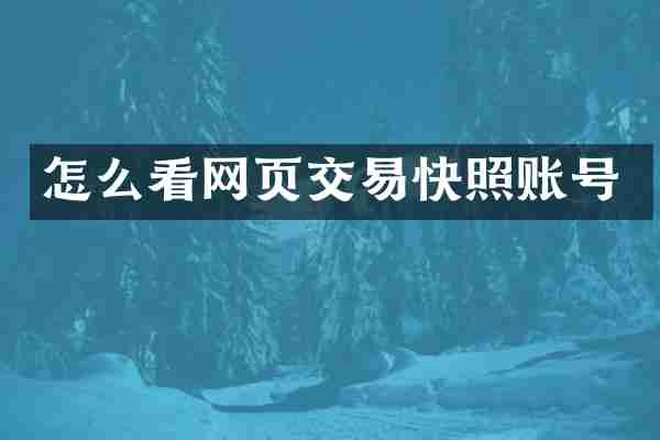 怎么看网页交易快照账号