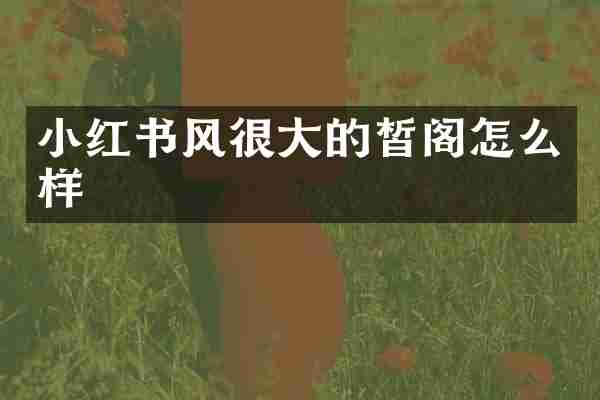 小红书风很大的皙阁怎么样