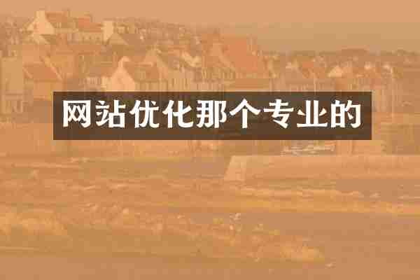 网站优化那个专业的