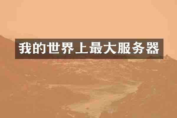 我的世界上最大服务器