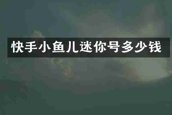 快手小鱼儿迷你号多少钱