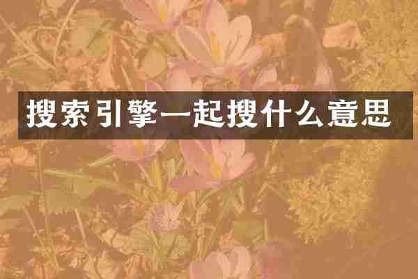 搜索引擎一起搜什么意思