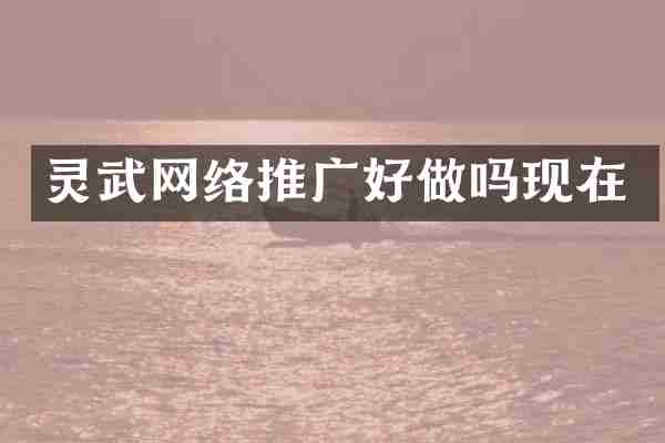 灵武网络推广好做吗现在