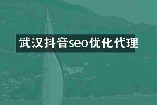 武汉抖音seo优化代理
