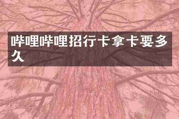 哔哩哔哩招行卡拿卡要多久