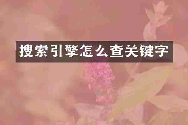 搜索引擎怎么查关键字