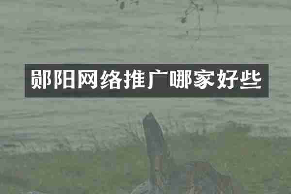 郧阳网络推广哪家好些