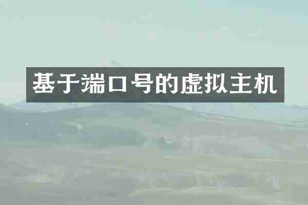 基于端口号的虚拟主机