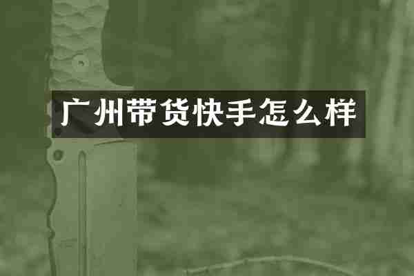 广州带货快手怎么样