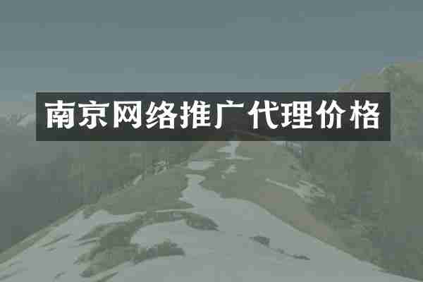 南京网络推广代理价格
